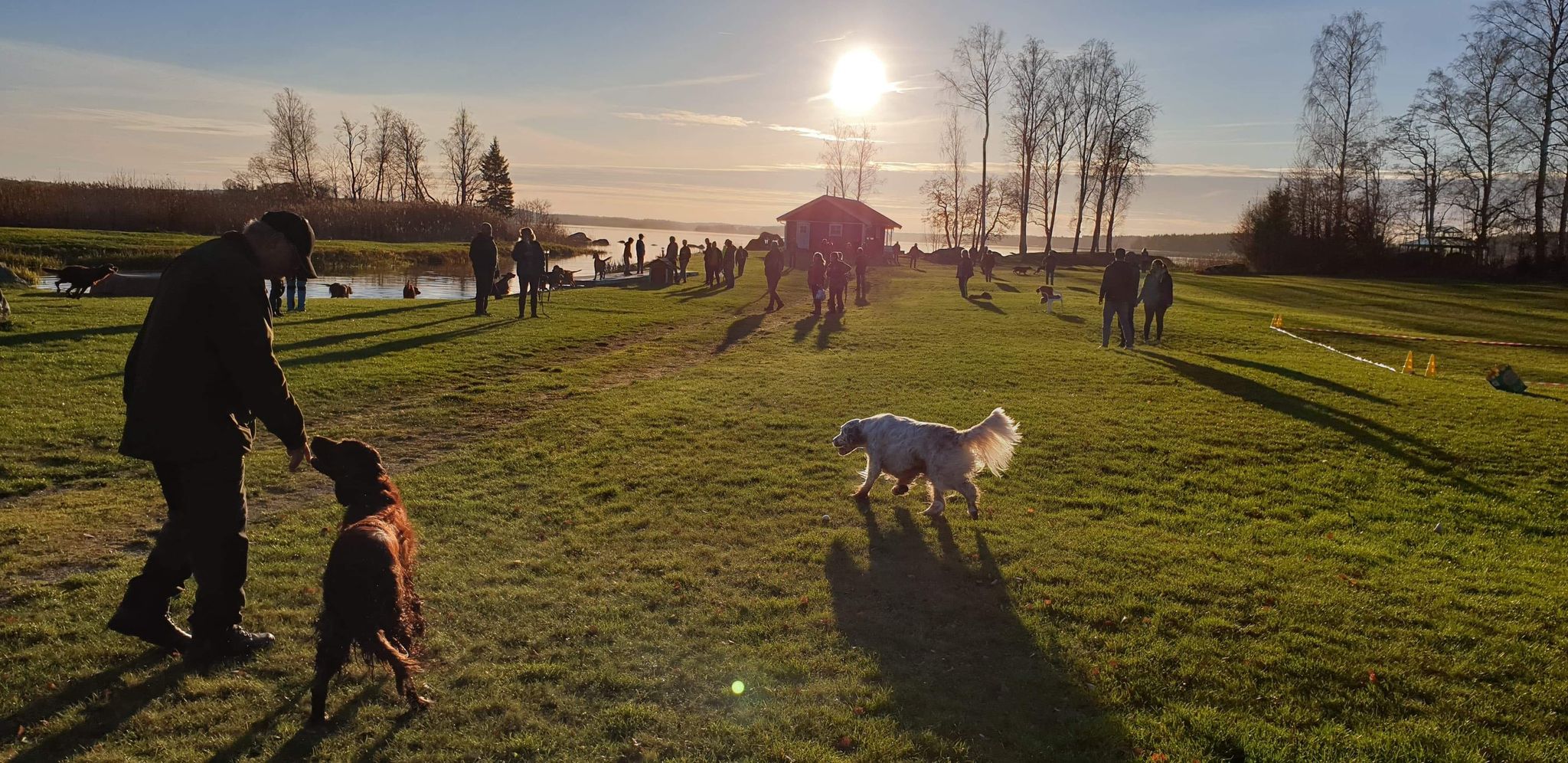 Foto från Setterträff 8 nov